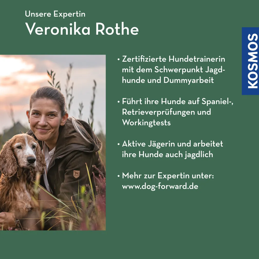 Impulskontrolle bei Jagdhunden