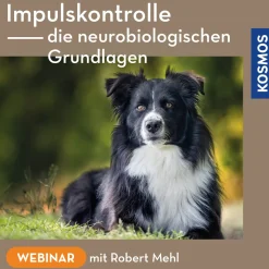 Impulskontrolle – Die neurobiologischen Grundlagen