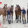 Ingrid Klimke Kalender 2026