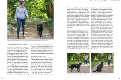 Jagdverhalten bei Hunden