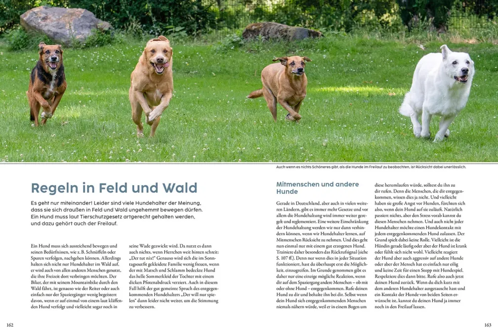 Jagdverhalten bei Hunden