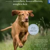 Jagdverhalten verstehen, kontrollieren, ausgleichen