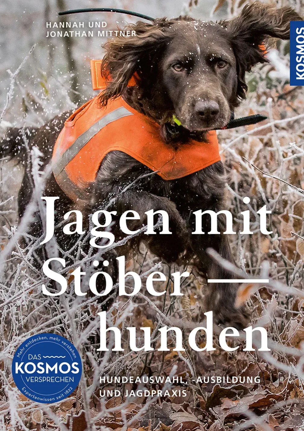 Jagen mit Stöberhunden
