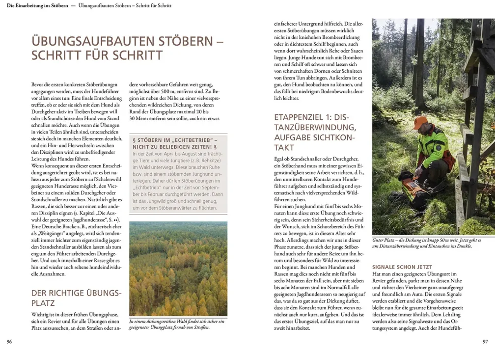 Jagen mit Stöberhunden