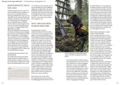 Jagen mit Stöberhunden