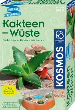 Kakteen-Wüste