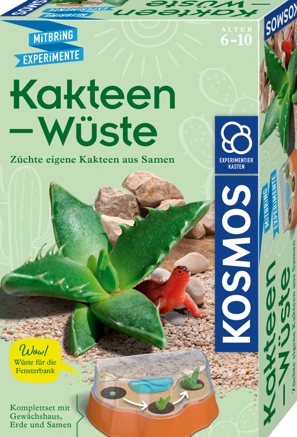 Kakteen-Wüste