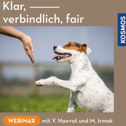 Klar, verbindlich, fair