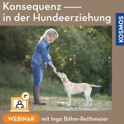 Konsequenz in der Hundeerziehung