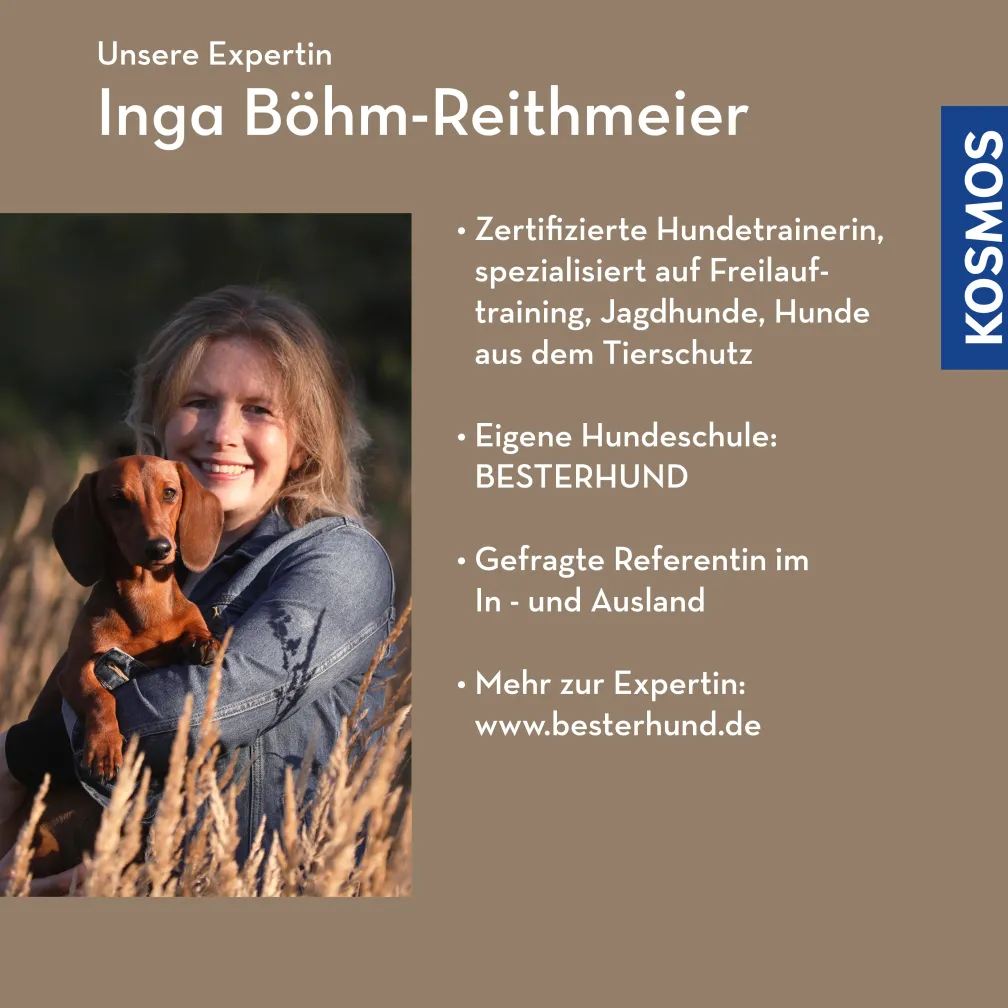 Konsequenz in der Hundeerziehung