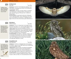 Kosmos Vogelführer für unterwegs