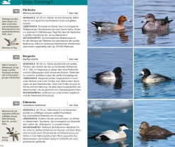 Kosmos Vogelführer für unterwegs