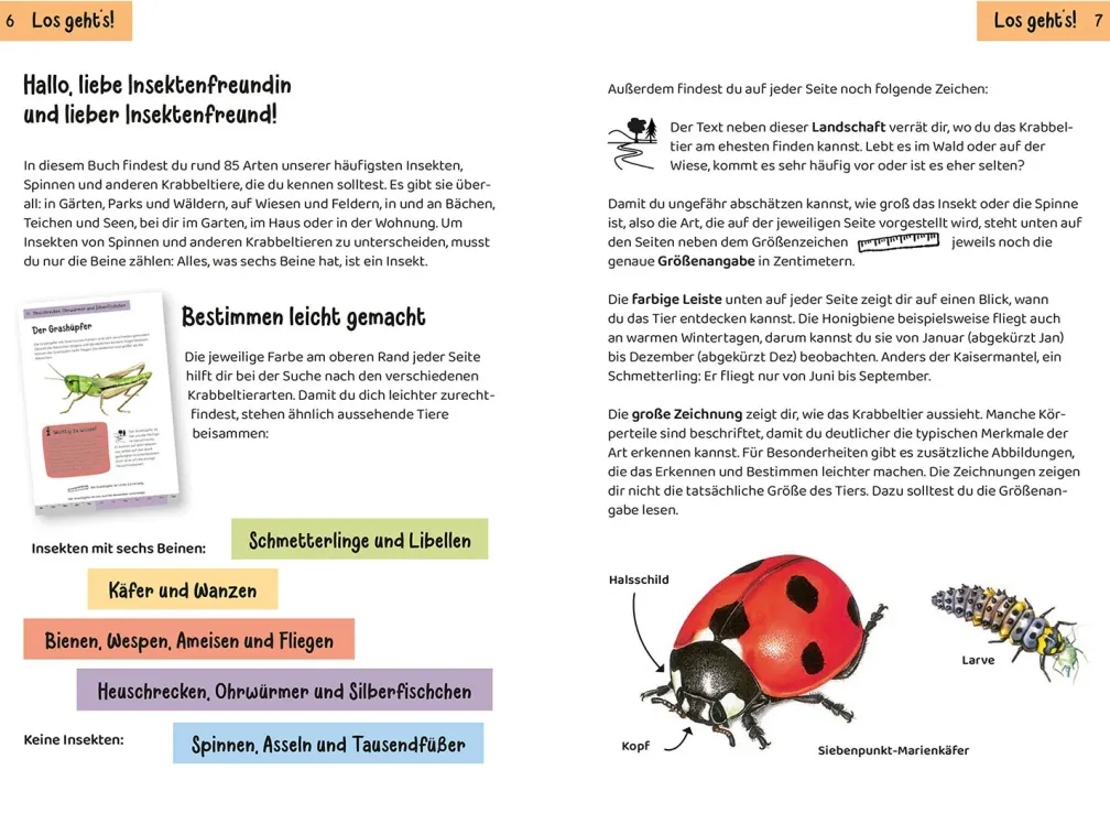 KOSMOS Was krabbelt denn da? Naturführer für Kinder ab 8 Jahren
