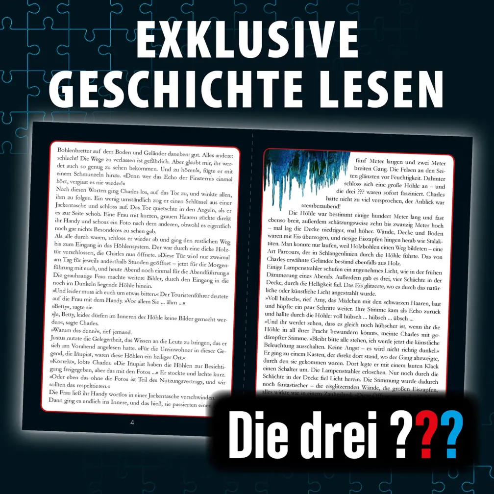 Krimi-Puzzle: Die drei ??? - Das Echo der Finsternis