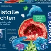 Kristalle züchten