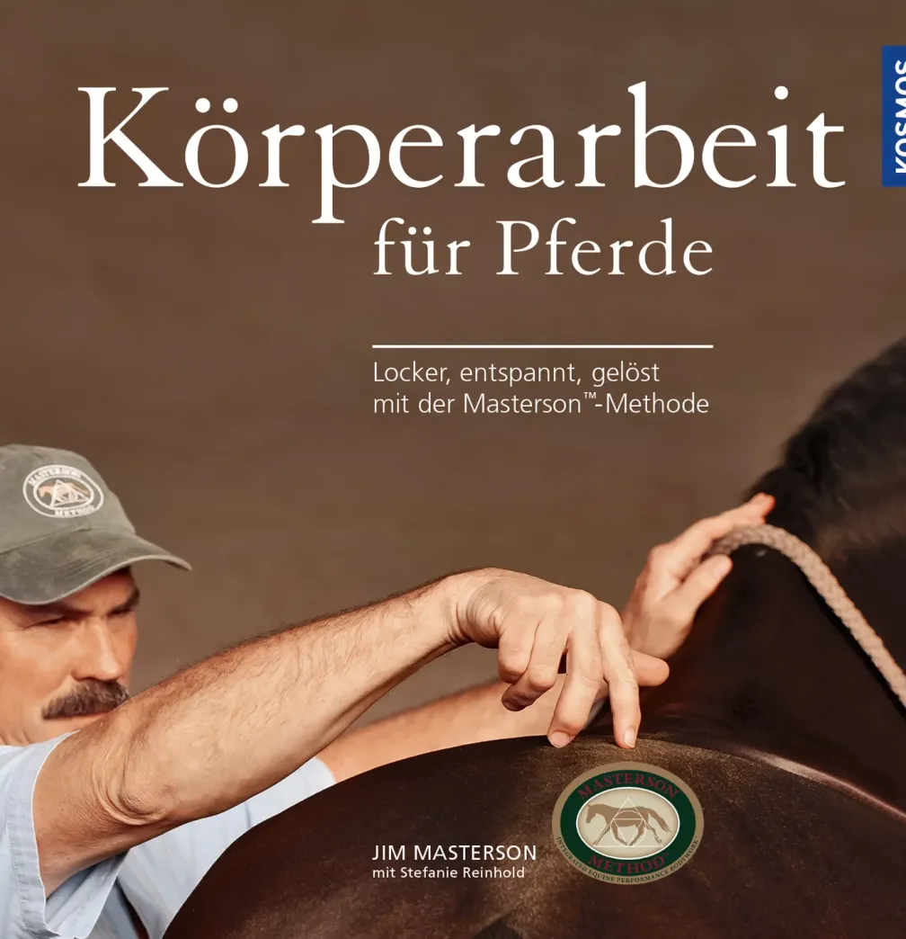 Körperarbeit für Pferde