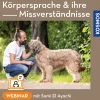 Körpersprache und ihre Missverständnisse