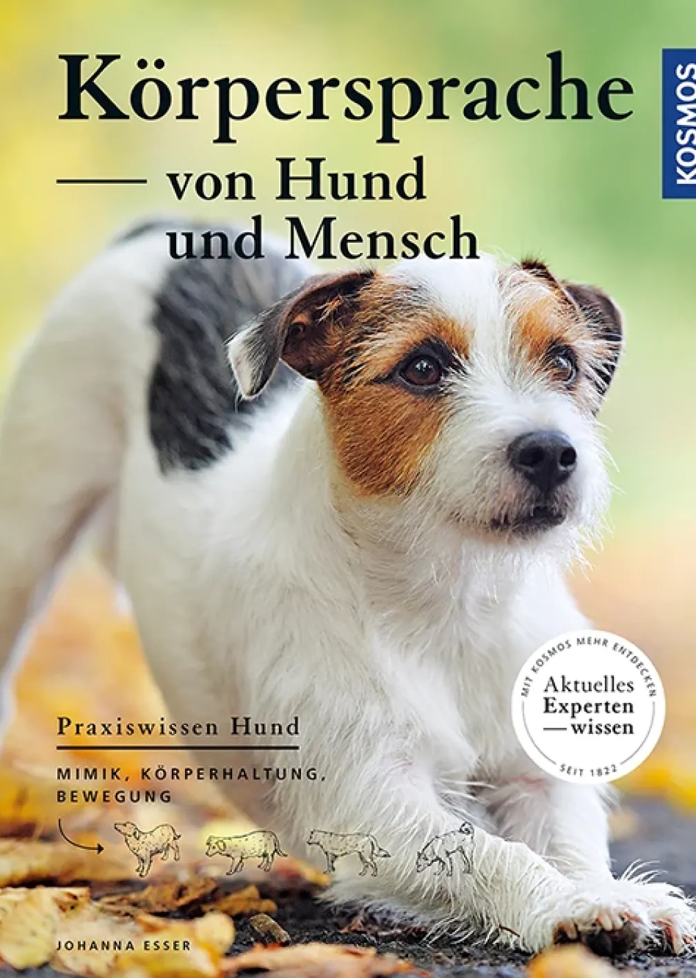 Körpersprache von Hund und Mensch