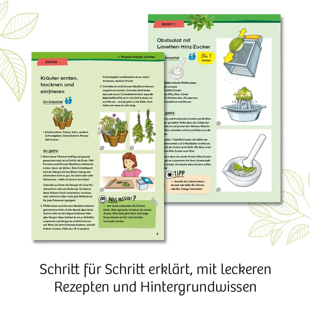 Kräuter-Garten