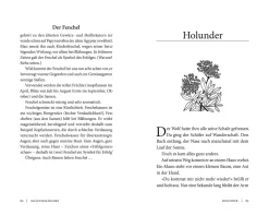 Kräutermärchen