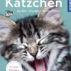 Kätzchen