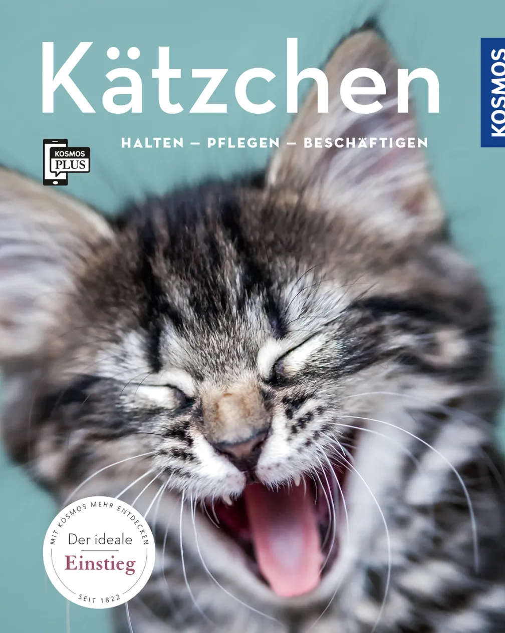 Kätzchen