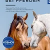 Lateralität bei Pferden