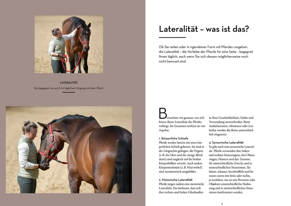 Lateralität bei Pferden