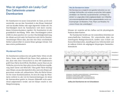Leaky Gut und SIBO