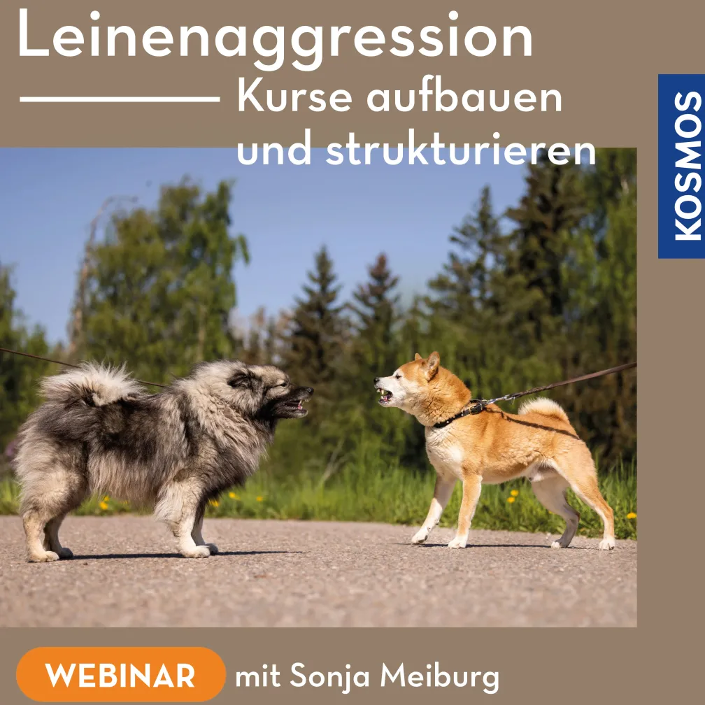 Leinenaggression – Kurse aufbauen und strukturieren