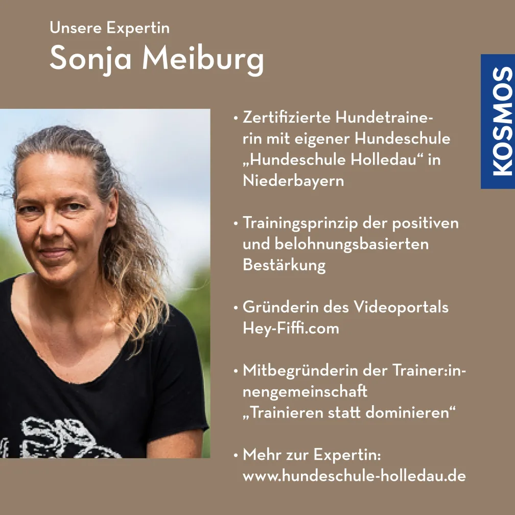 Leinenaggression – Kurse aufbauen und strukturieren