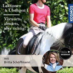 Lektionen und Übungen vom Sattel aus, Teil 1: Vorwärts-abwärts, aber richtig