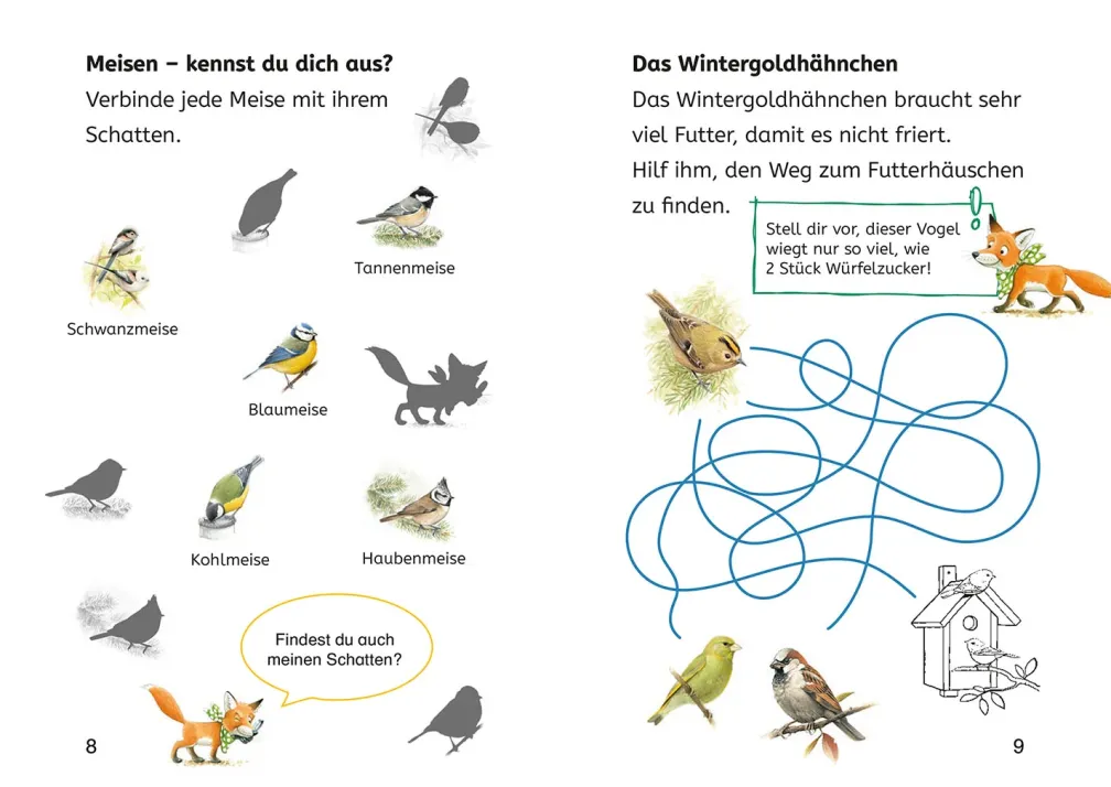 Lesen lernen mit Naturrätseln, Bücherhelden 2. Klasse, heimische Vögel