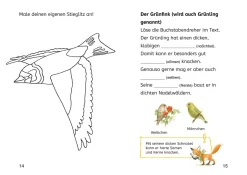 Lesen lernen mit Naturrätseln, Bücherhelden 2. Klasse, heimische Vögel