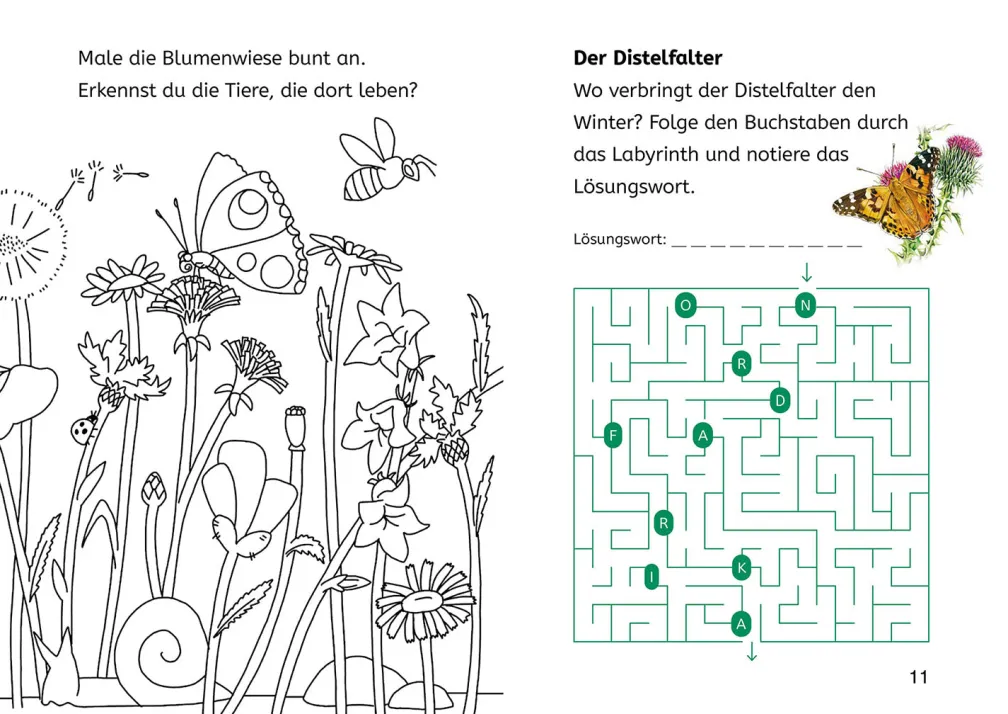 Lesen lernen mit Naturrätseln, Bücherhelden 2. Klasse, Insekten & Spinnen