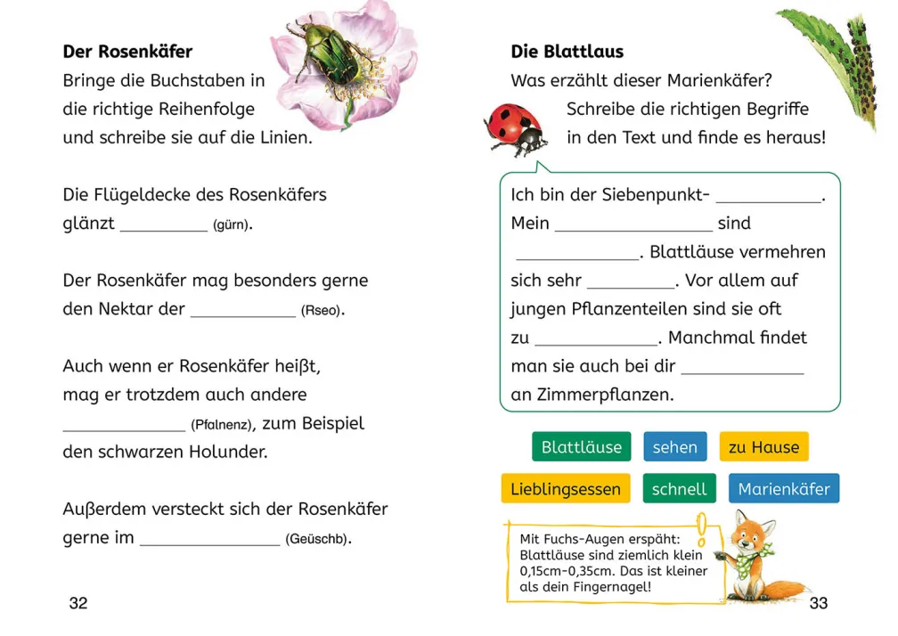 Lesen lernen mit Naturrätseln, Bücherhelden 2. Klasse, Insekten & Spinnen
