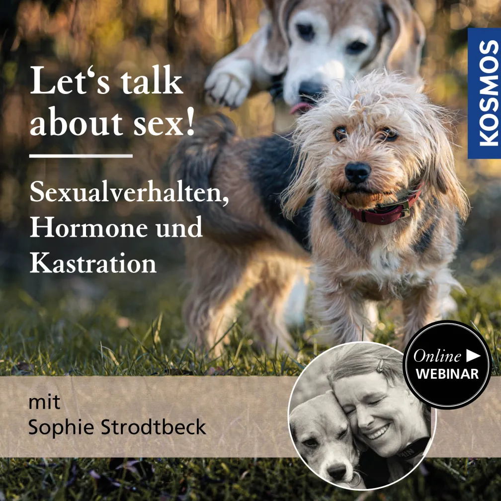 Let’s talk about sex! Sexualverhalten, Hormone und Kastration bei Hunden
