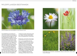 Lieblingsblumen