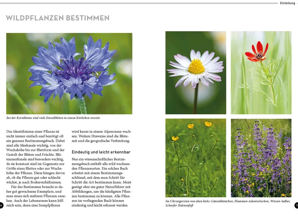 Lieblingsblumen