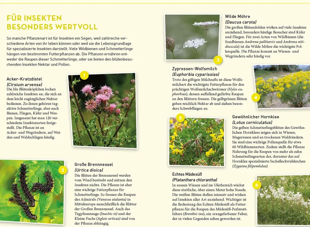 Lieblingsblumen