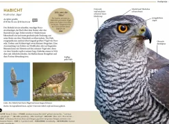 Lieblingsvögel