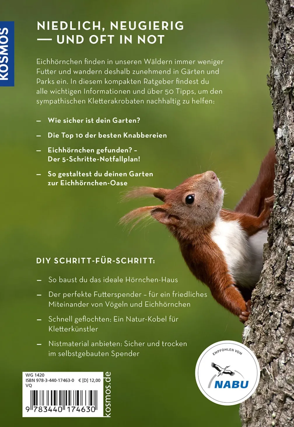 Mach was für Eichhörnchen