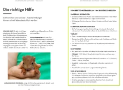 Mach was für Eichhörnchen