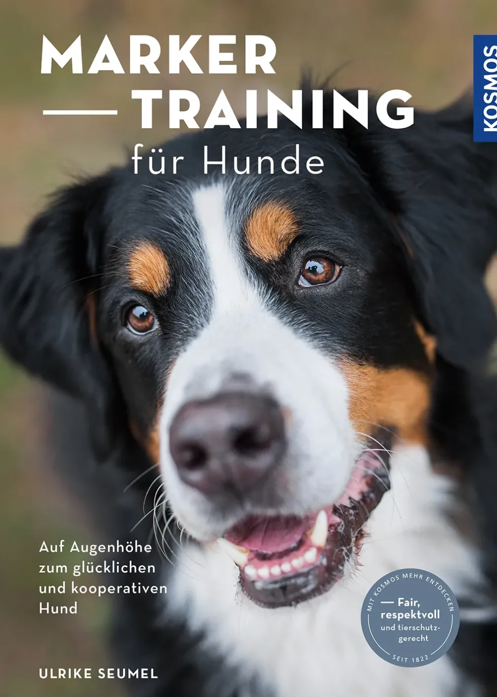 Marker-Training für Hunde