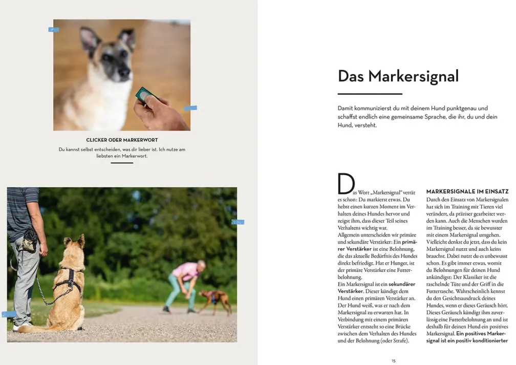 Marker-Training für Hunde