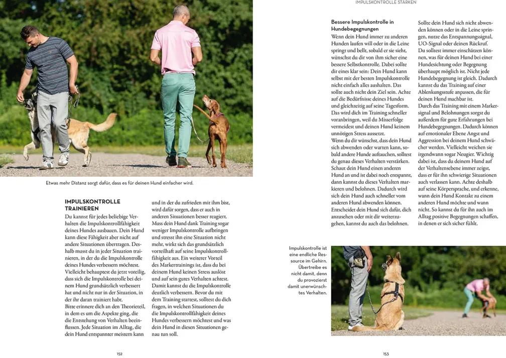Marker-Training für Hunde