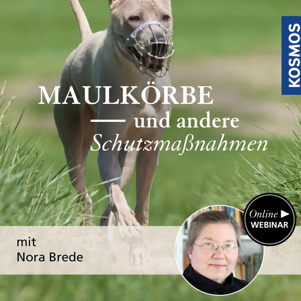 Maulkörbe und andere Schutzmaßnahmen
