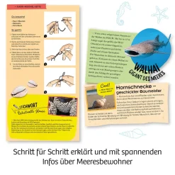 Meeres-Abenteuer
