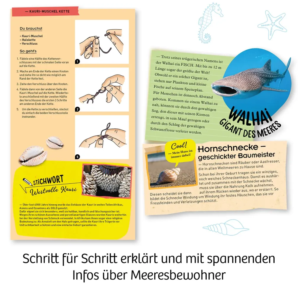 Meeres-Abenteuer