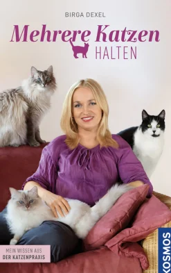 Mehrere Katzen halten